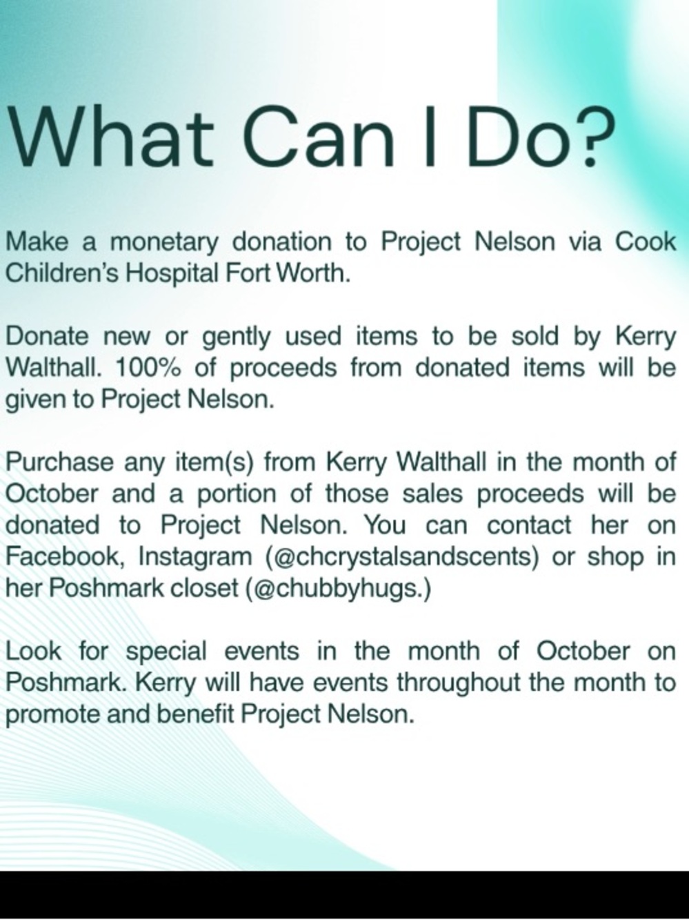Benefit Show - Project Nelson - Picture 5 of 7